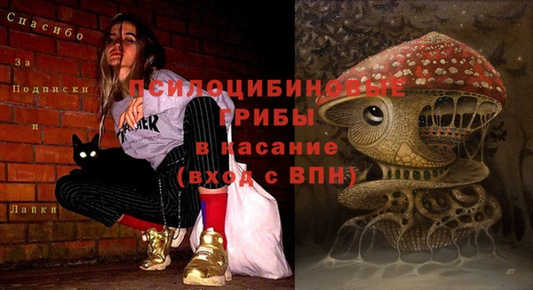 ALPHA PVP Няндома