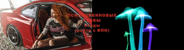 ALPHA PVP Няндома